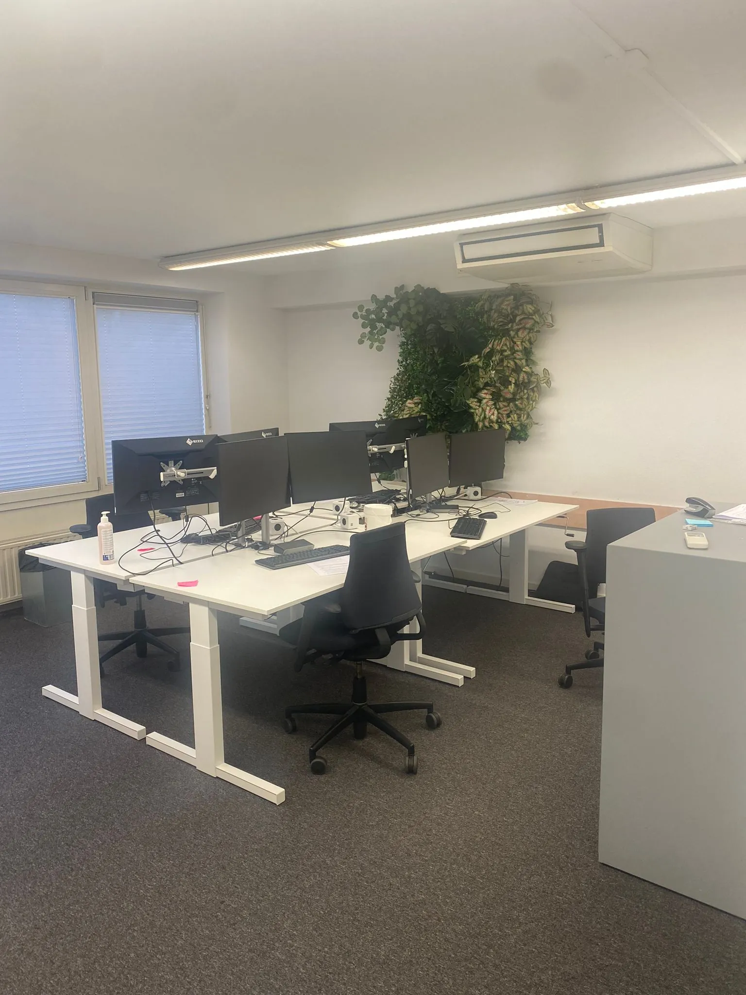 Kantoorruimte aan de Prins Hendrikkade met meerdere werkplekken, beeldschermen en een groene plantenwand.